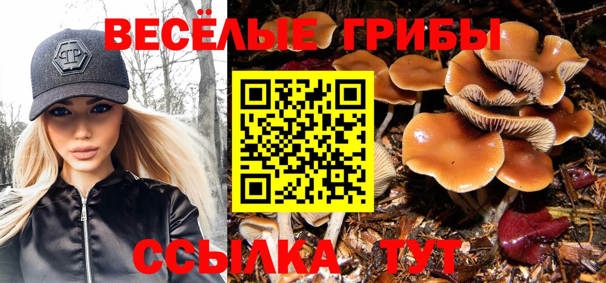 Галлюциногенные грибы Cubensis Мурманск