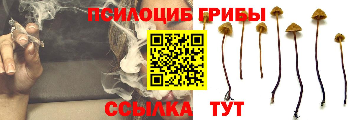 Псилоцибиновые грибы ЛСД  Вход с VPN  Мурманск 